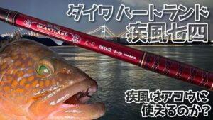 アコウロッドの最高峰！！ ダイワ ハートランド 疾風七四 | どぶろーの 