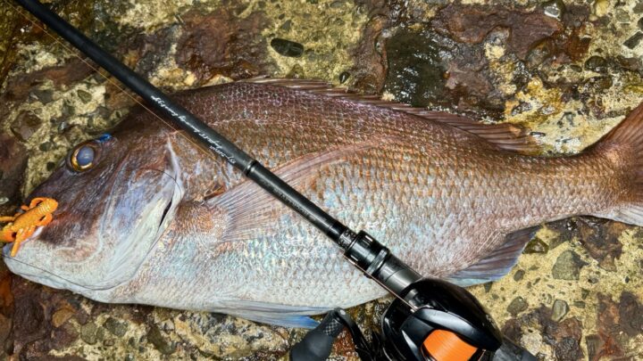 マダイに使ったB882XHを重ねて撮影