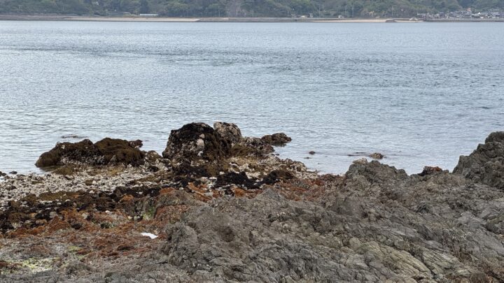 瀬戸内海の地磯から見る激流
